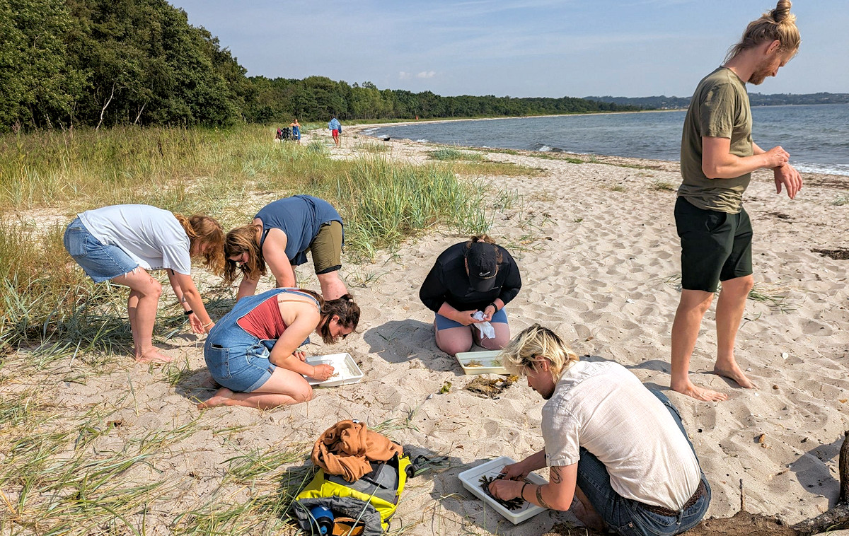 NAFA-sommerskole i fuld gang.